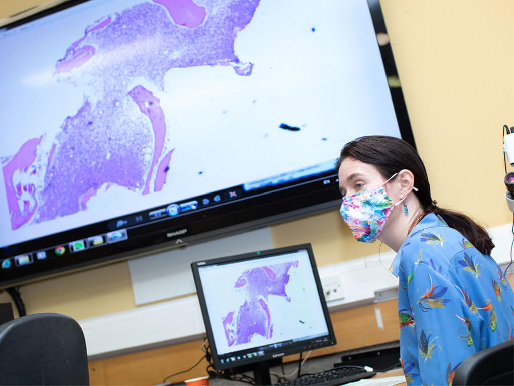 Female Consultant presenting at a medical course with a large screen featuring blood cell imagery in the background